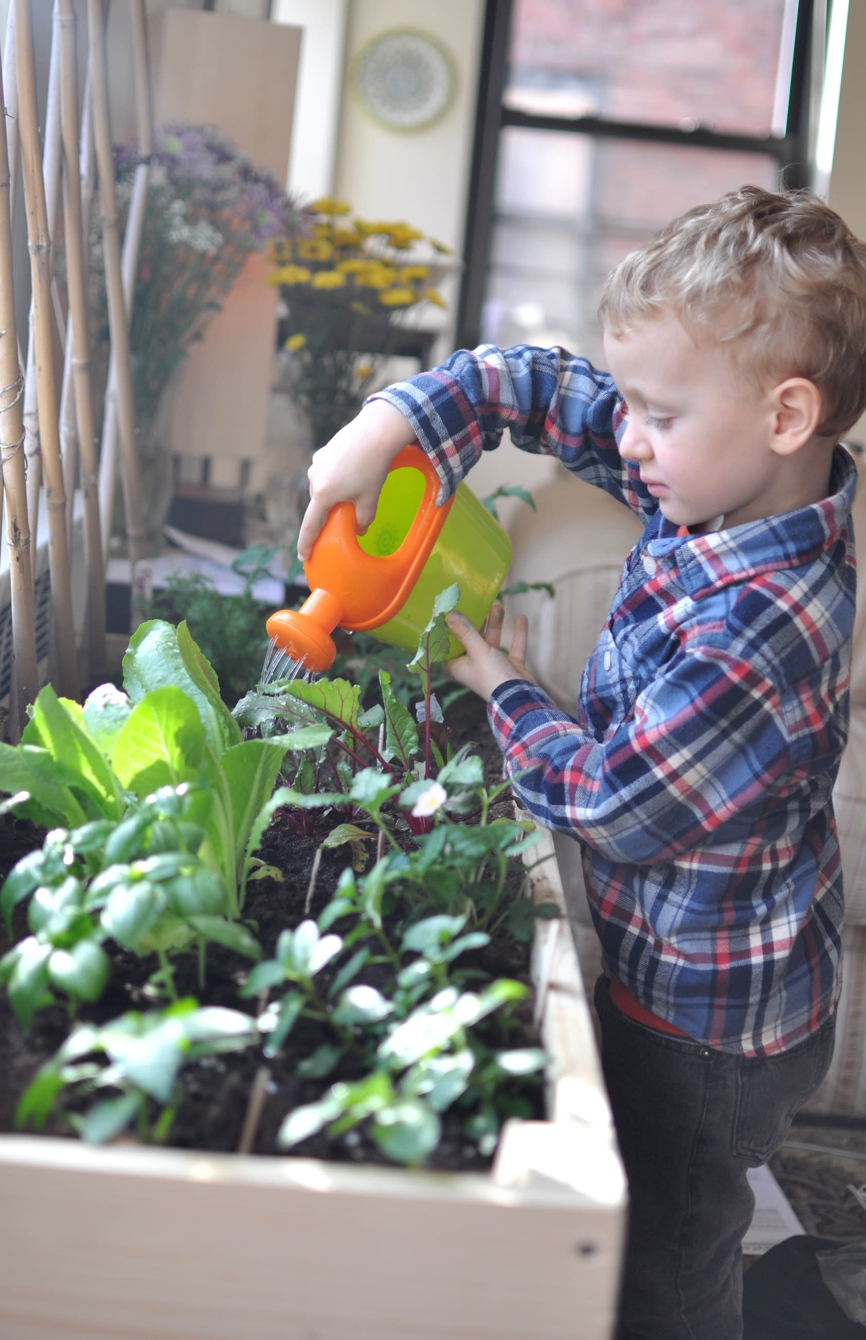Fun Kids Gardening Projects