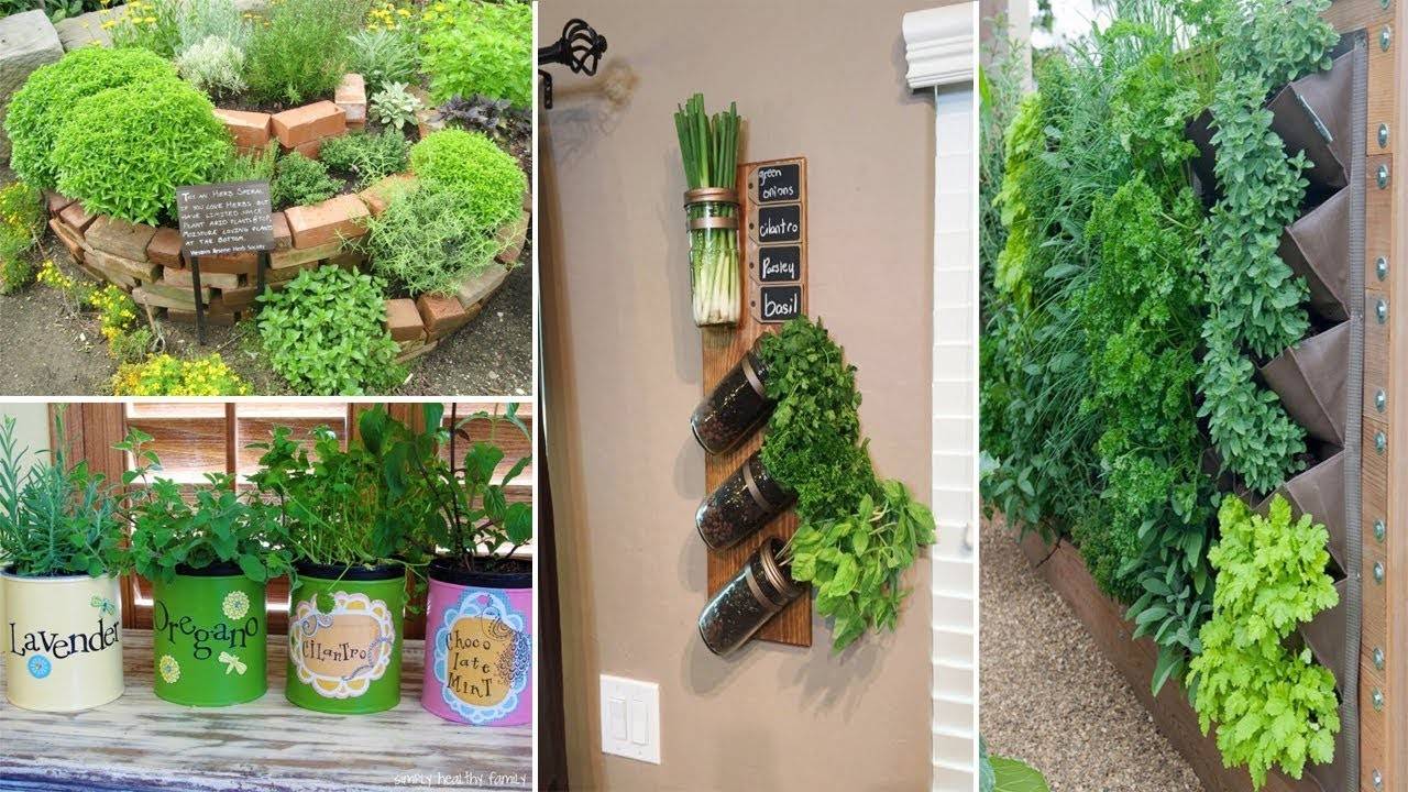 16 Spice Garden Ideas You Should Check SharonSable