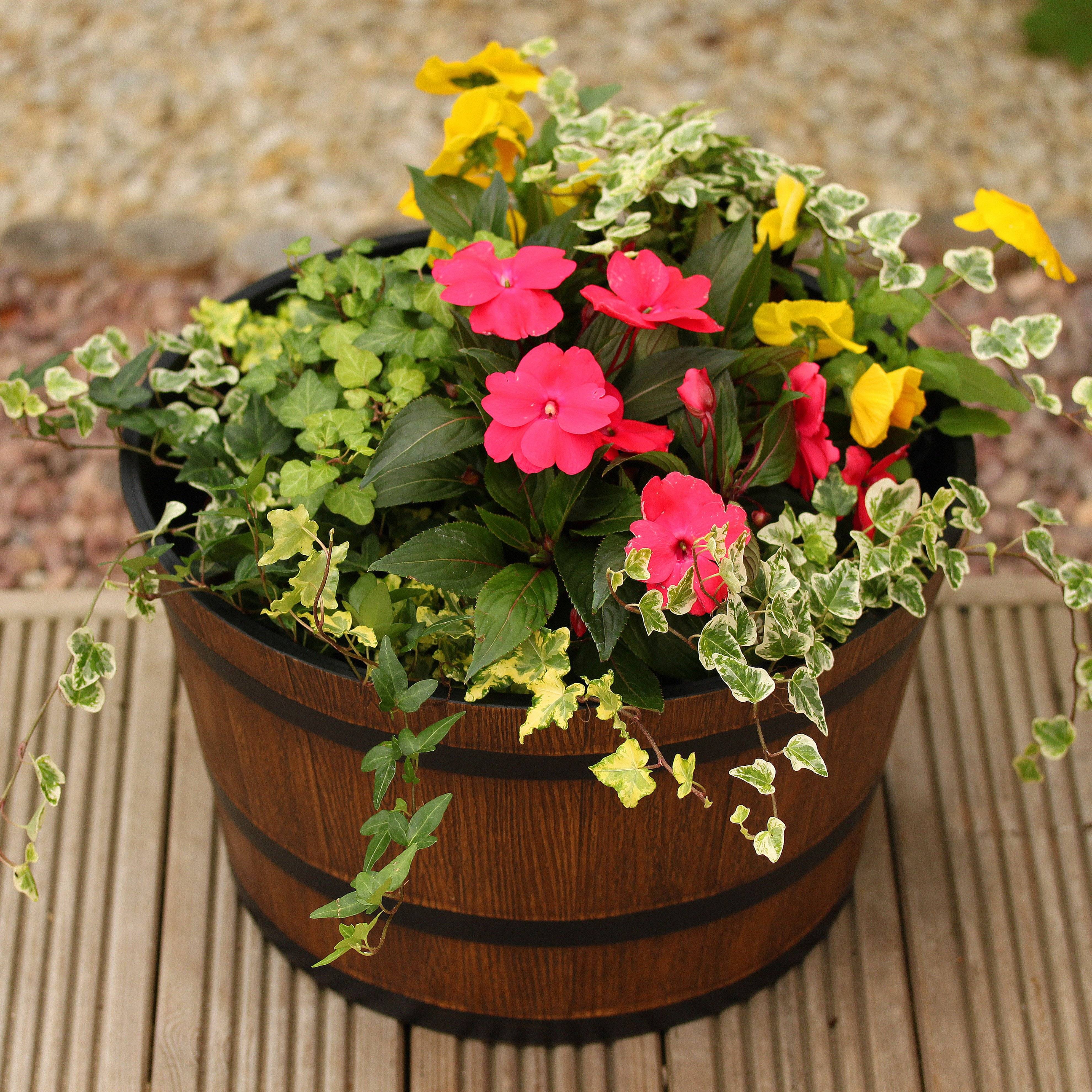 Herb And Spice Garden Miami Home And Garden Designs