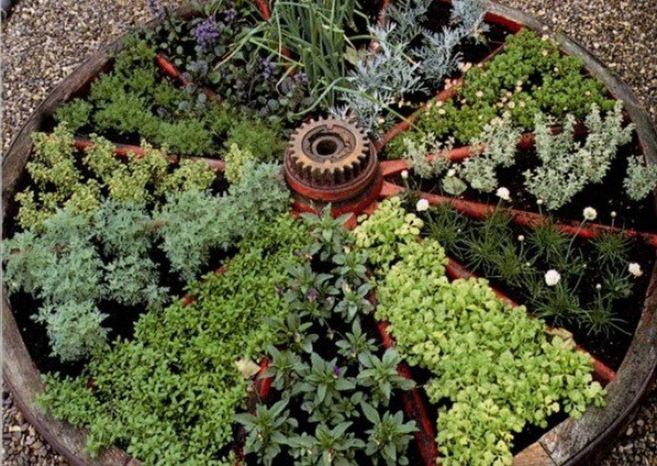 Useful Garden Ideas