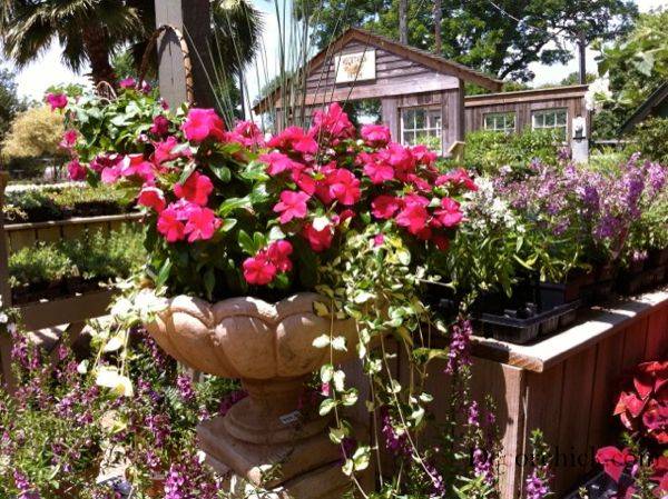 Her Modern Landscape Design