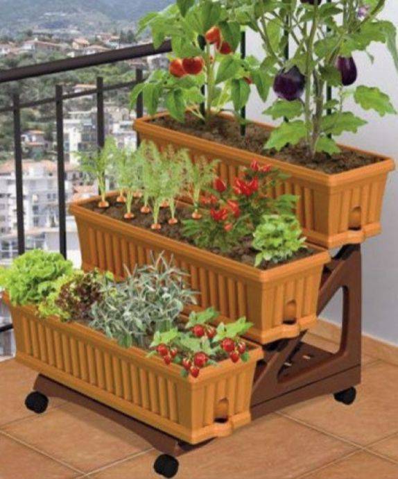 Best Indoor Herb Garden Ideas