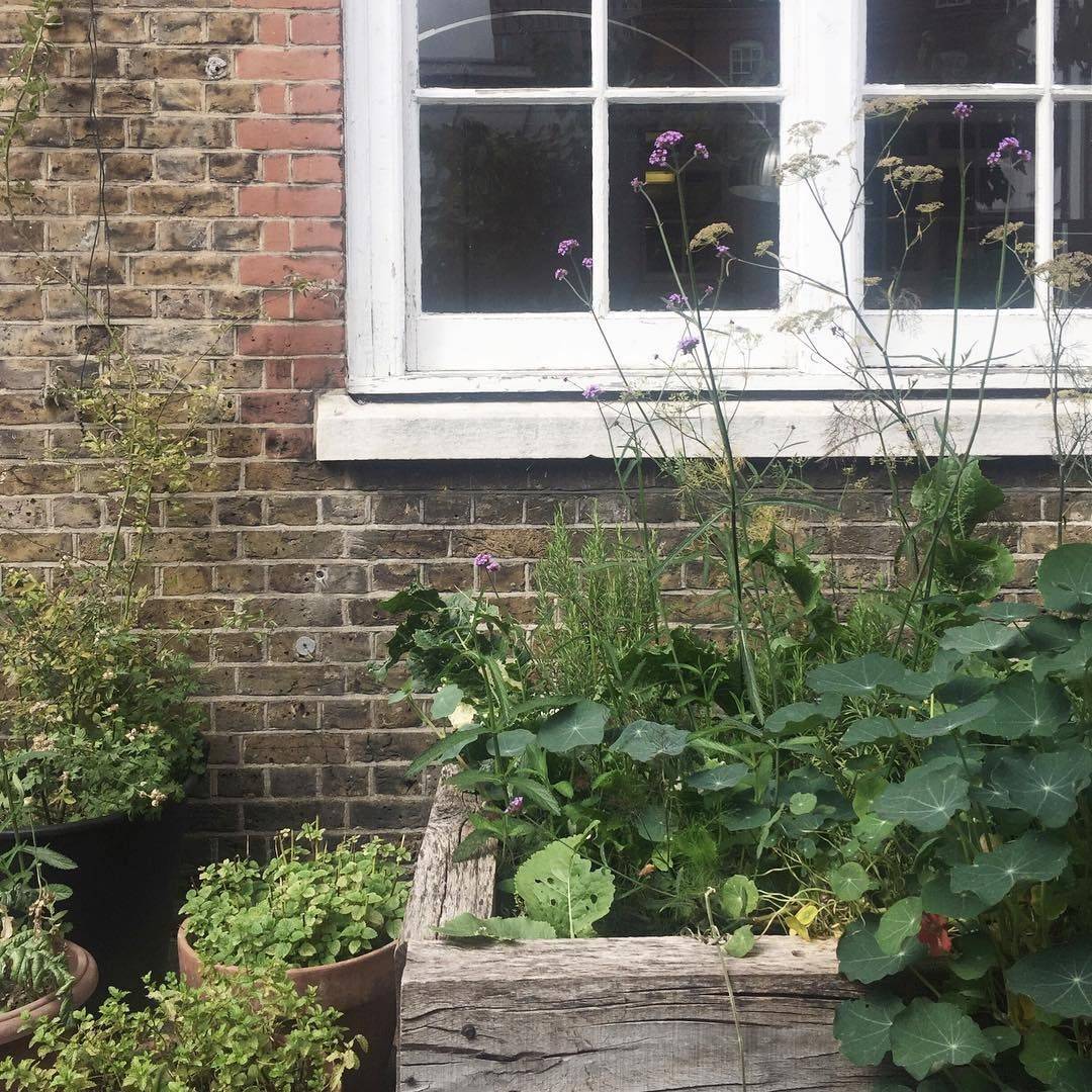 Most Popular Creative Gardening Ideas