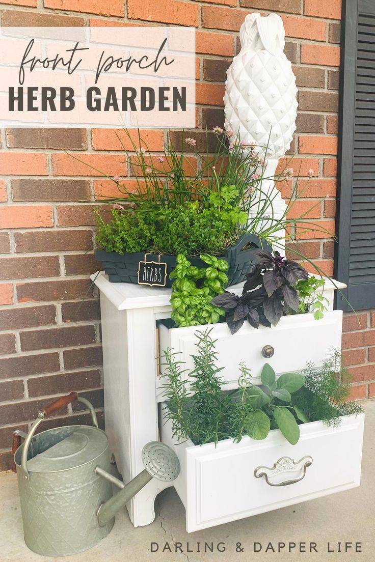 Stunning Vegetable Backyard