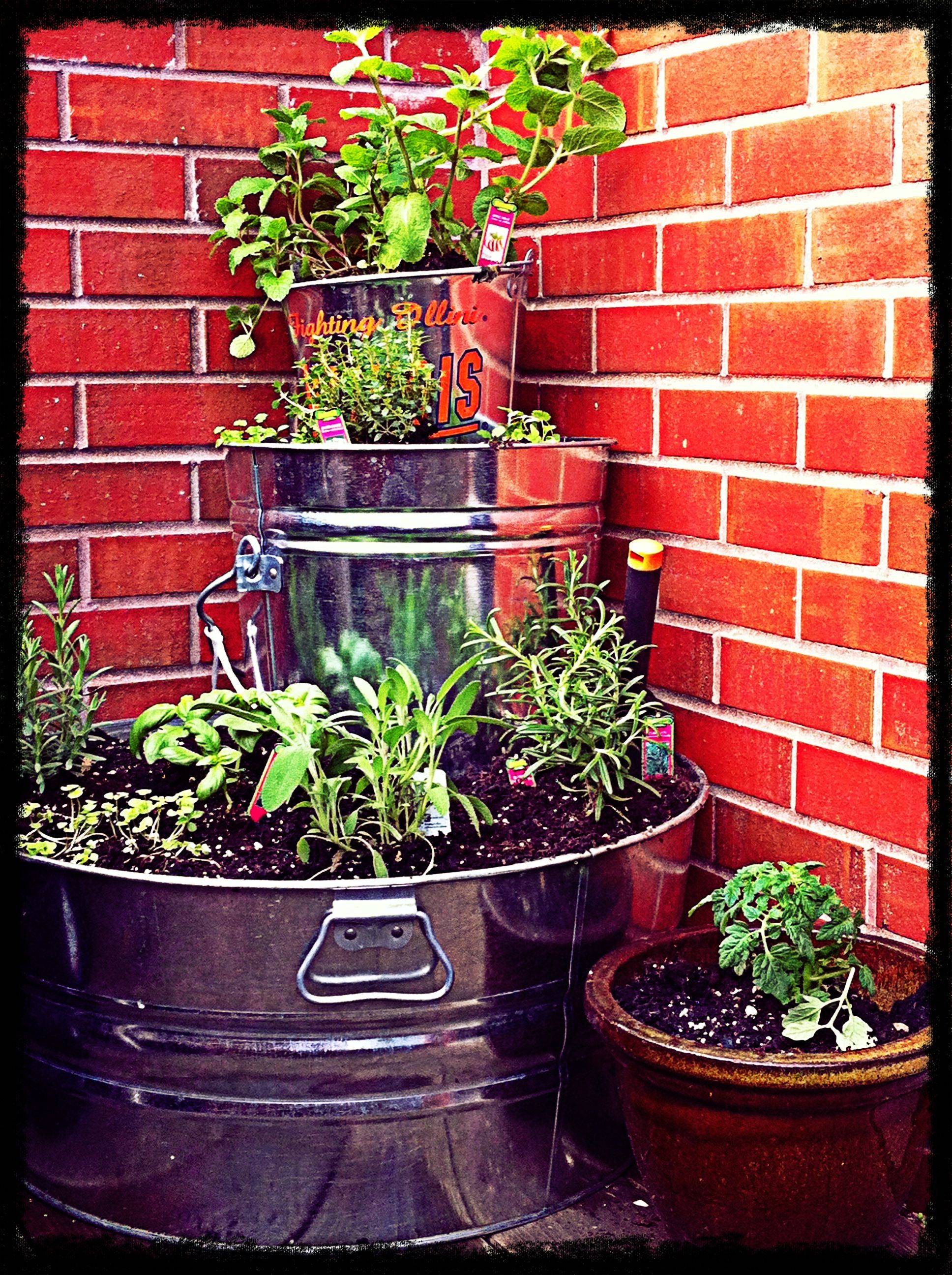 Porch Herb Garden Love