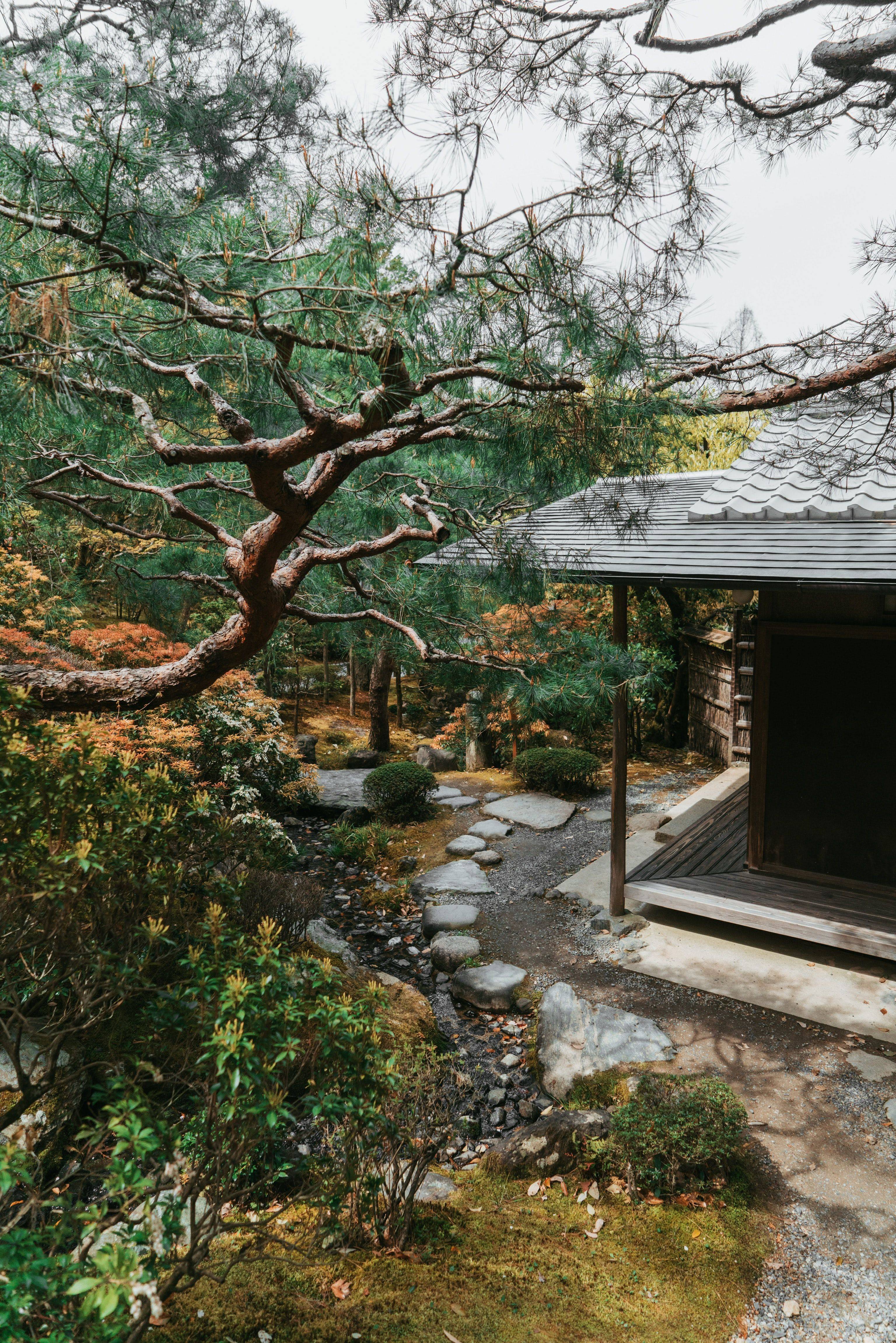 Glorious Japanese Garden Ideas