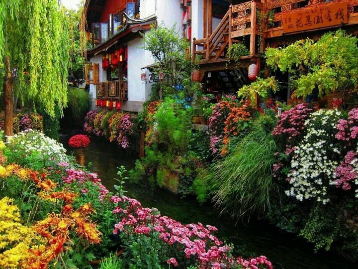 English Cottage Garden Home Nature Flowers