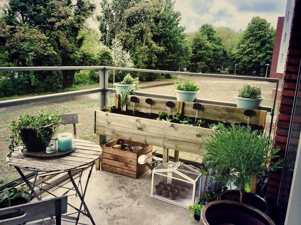 Small Balcony Vegetable Garden Ideas