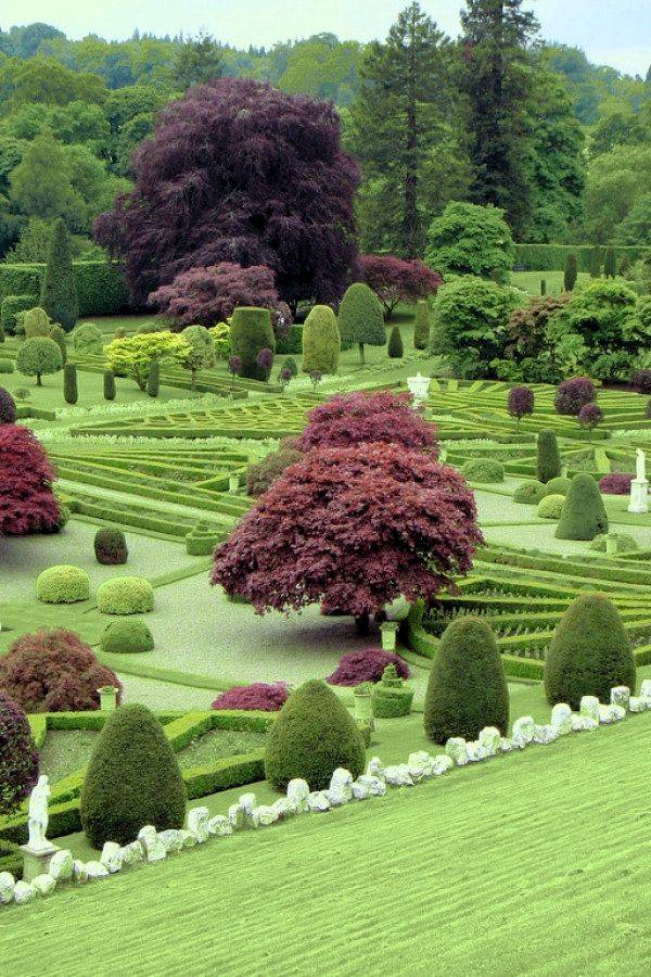Herb Gardening Designs
