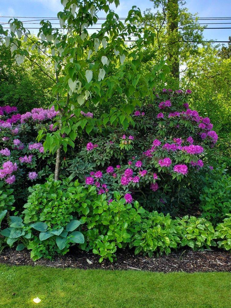The Garden Garden Yard Ideas