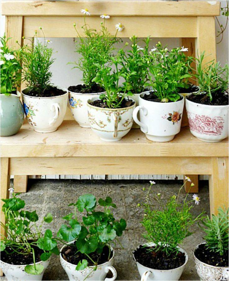 Cool Small Herb Gardens