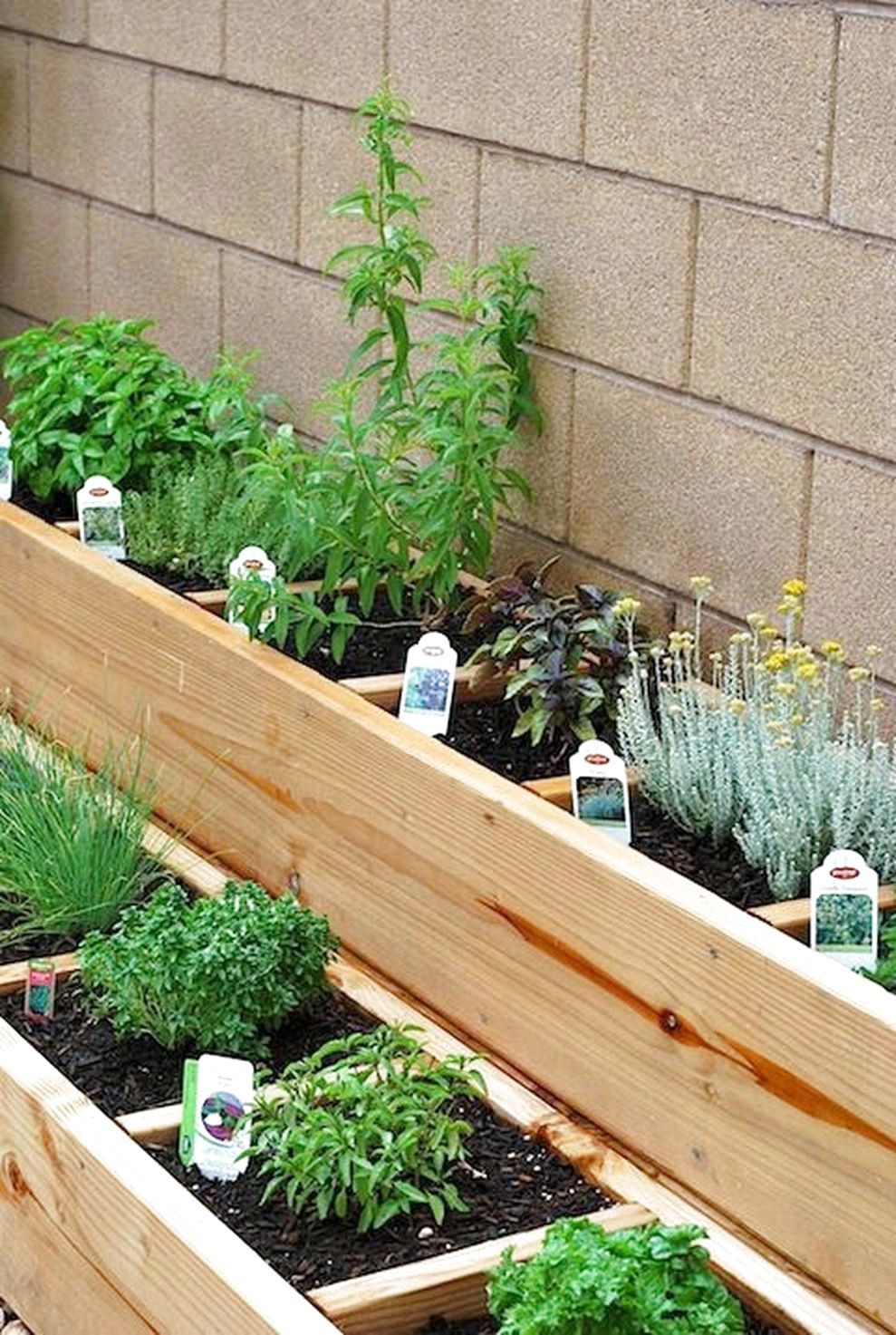 Brilliant Diy Herb Garden Ideas
