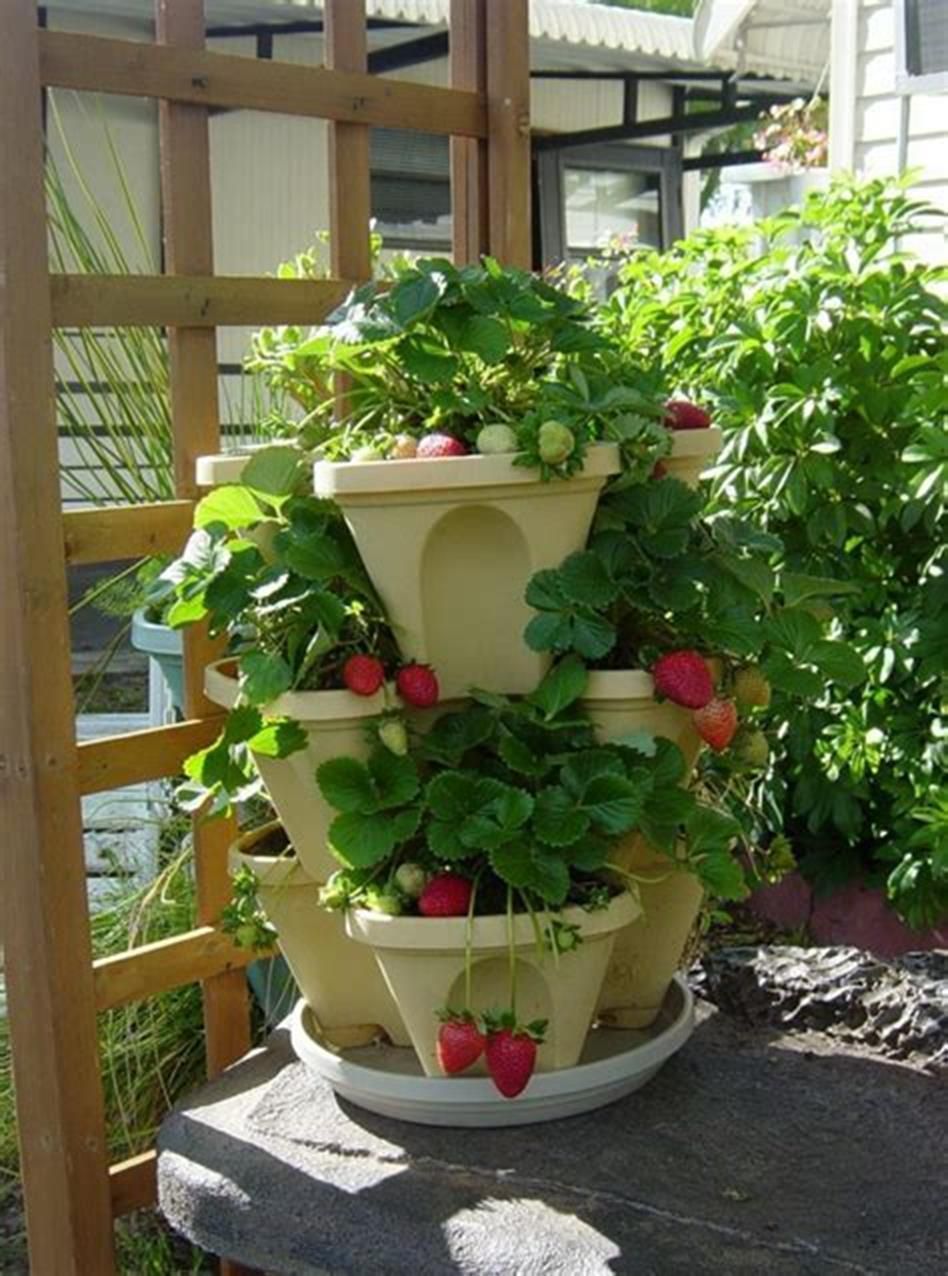 Very Beautiful Backyard Vegetable Garden Designs Ideas
