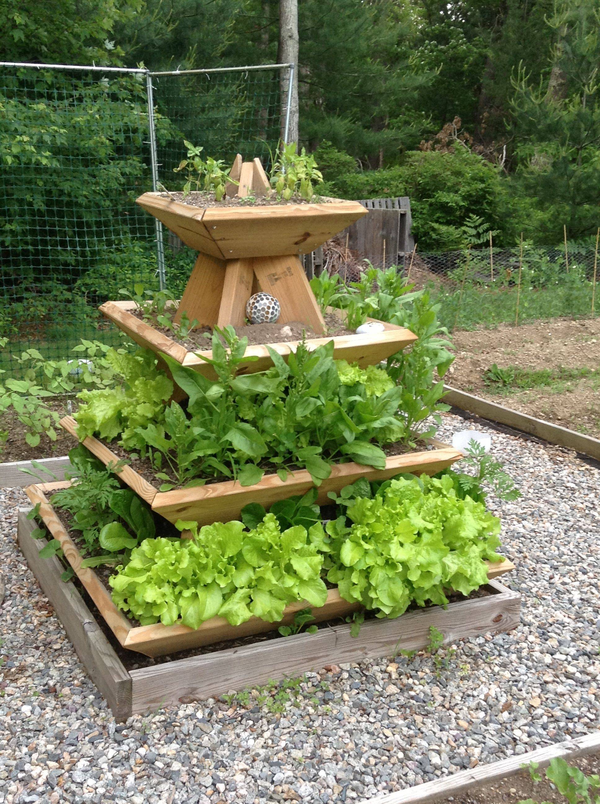 Raised Bed Herb Garden