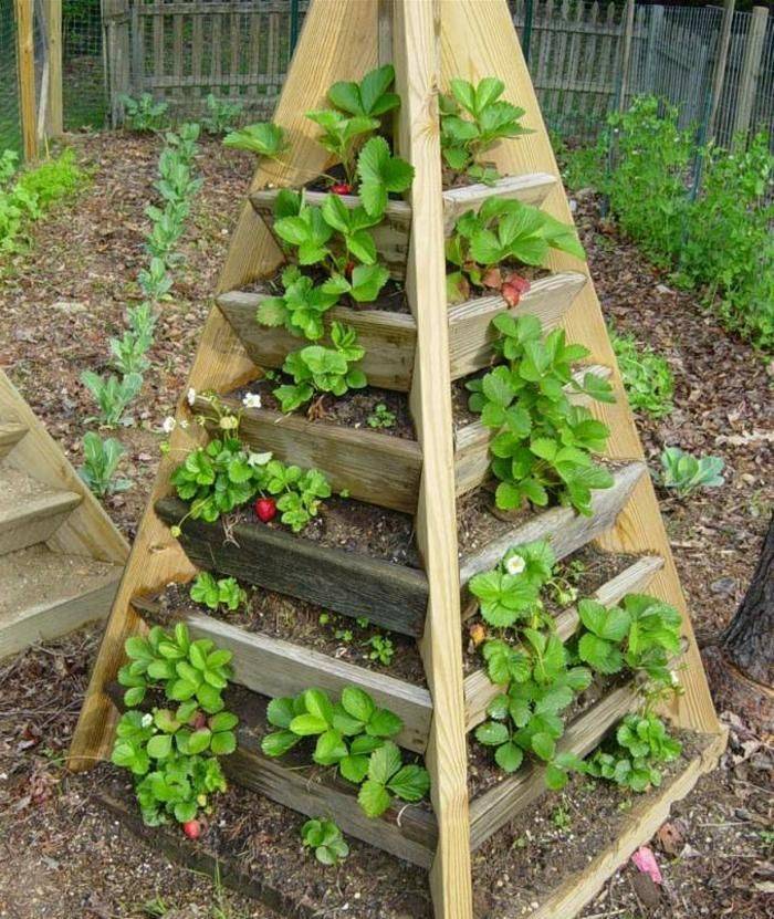 Pyramid Gardening Tips