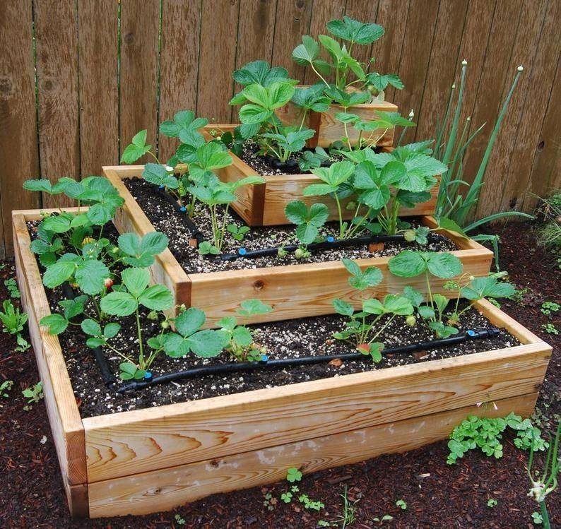 Pyramid Strawberry Planter Modern Design
