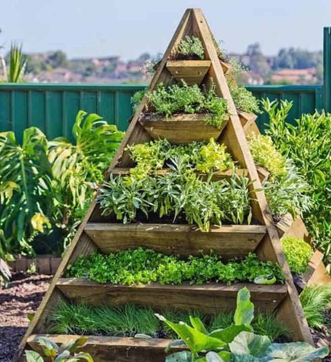 The Pyramid Planter