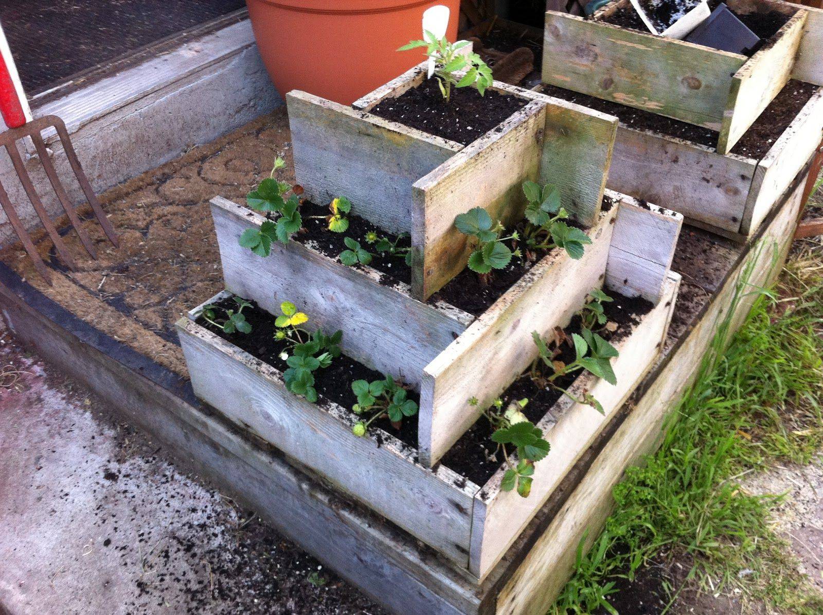 Pyramid Planter Herb Garden