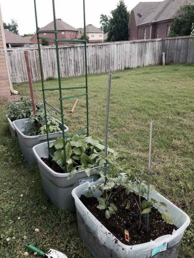 Rubbermaid Container Garden