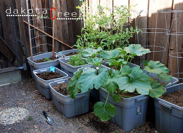 Rubbermaid Container Garden