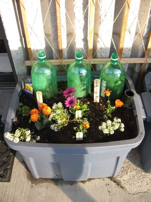 18 Rubbermaid Container Gardening Ideas You Must Look SharonSable