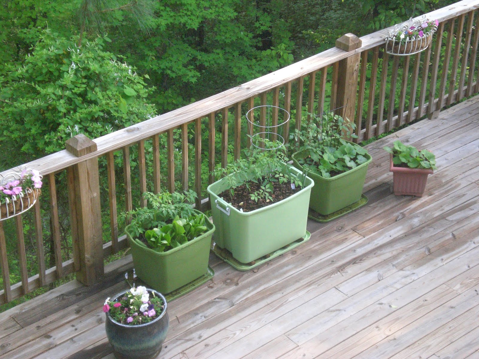 Rubbermaid Container Gardens