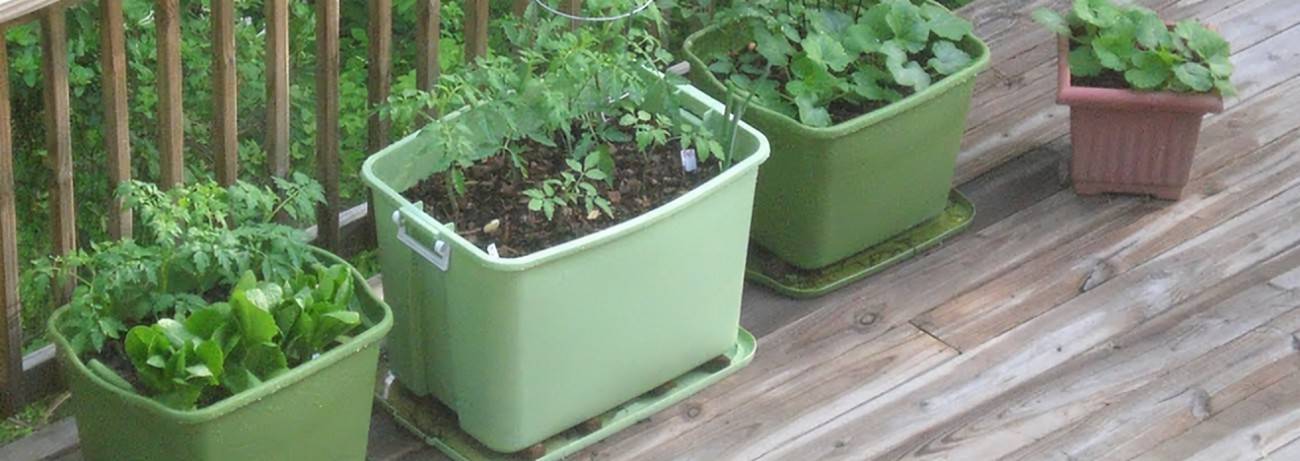 Large Container Gardening Container Gardens