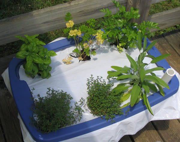 A Container Vegetable Garden