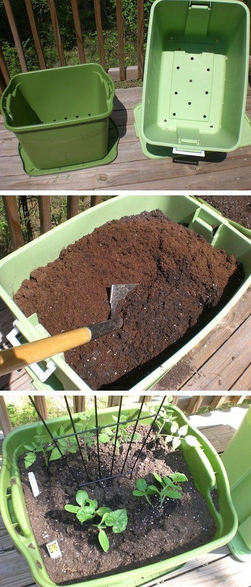 18 Rubbermaid Container Gardening Ideas You Must Look SharonSable