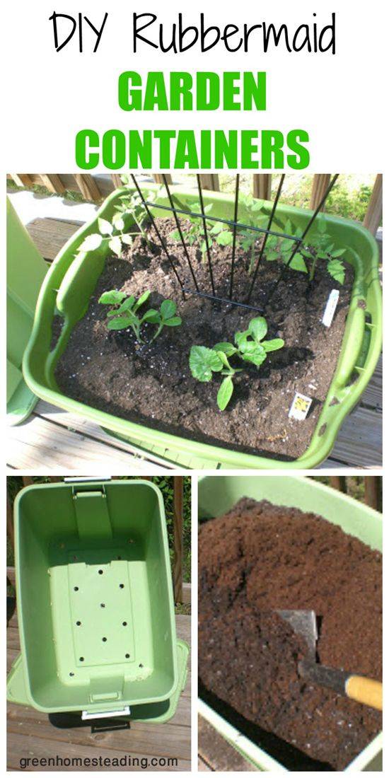 An Apartment Garden