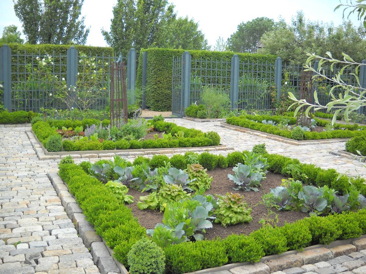 Perennial Herb Garden Layout Ideas