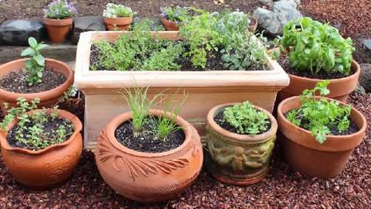 Herb Garden Design Photo Easy Kitchen Herb Garden Ideas
