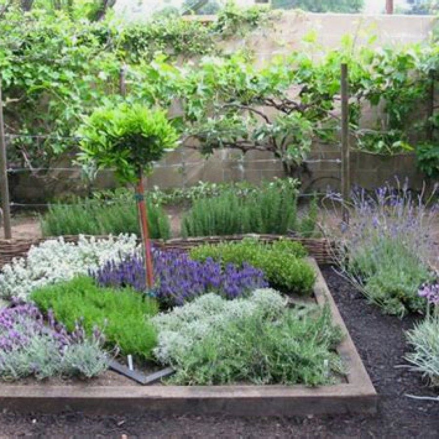 Herb Container Gardening Tips Metamorphosis Landscape Design
