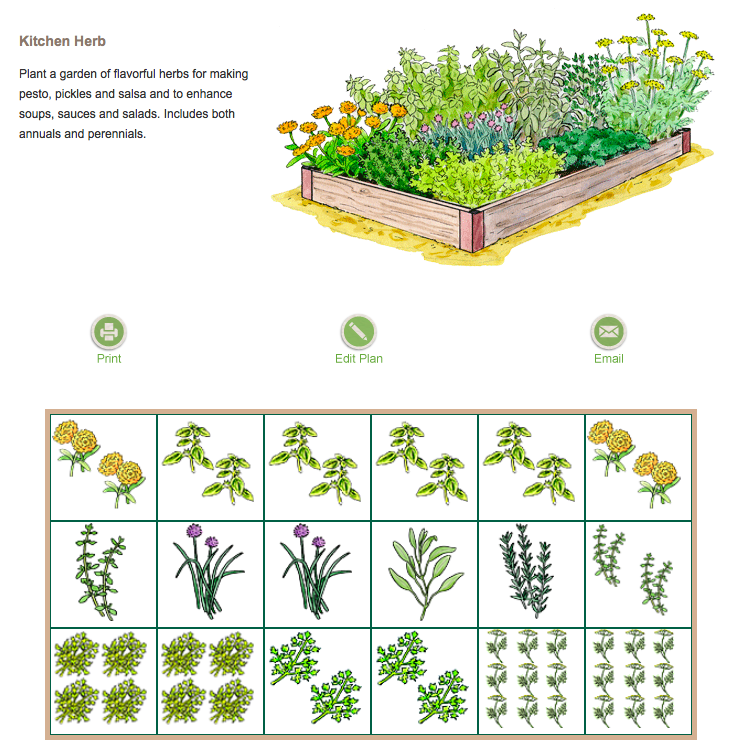 Classic Herb Garden Plan Herb Garden Design