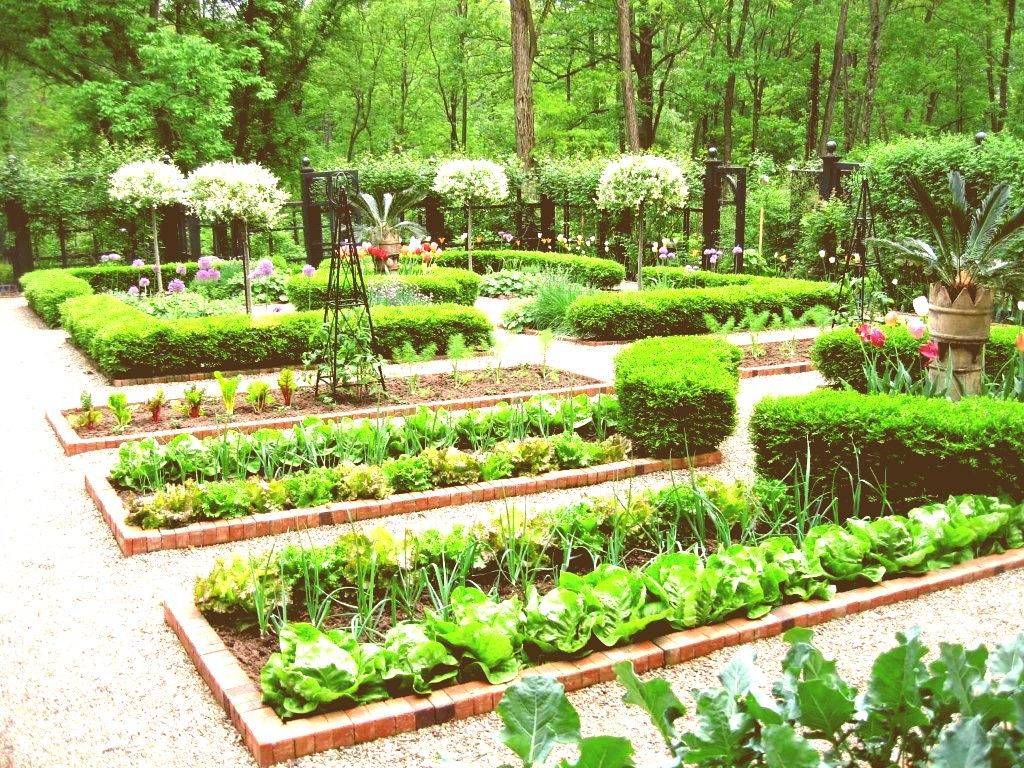 Colorful Herb Garden Plan Garden Planning