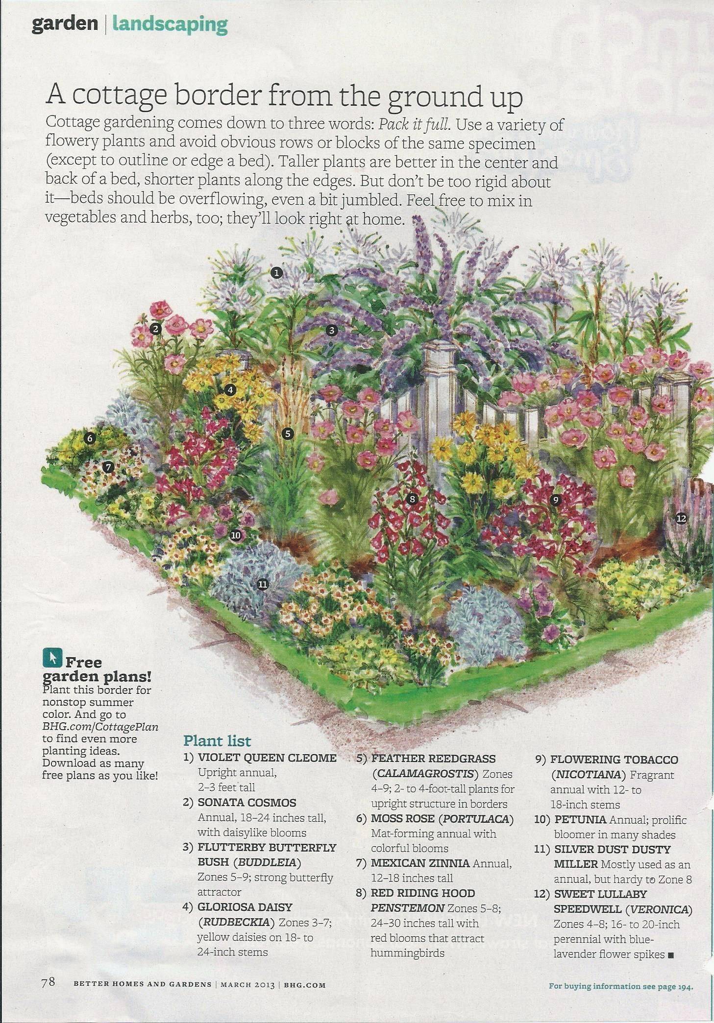 A Vegetable And Herb Garden
