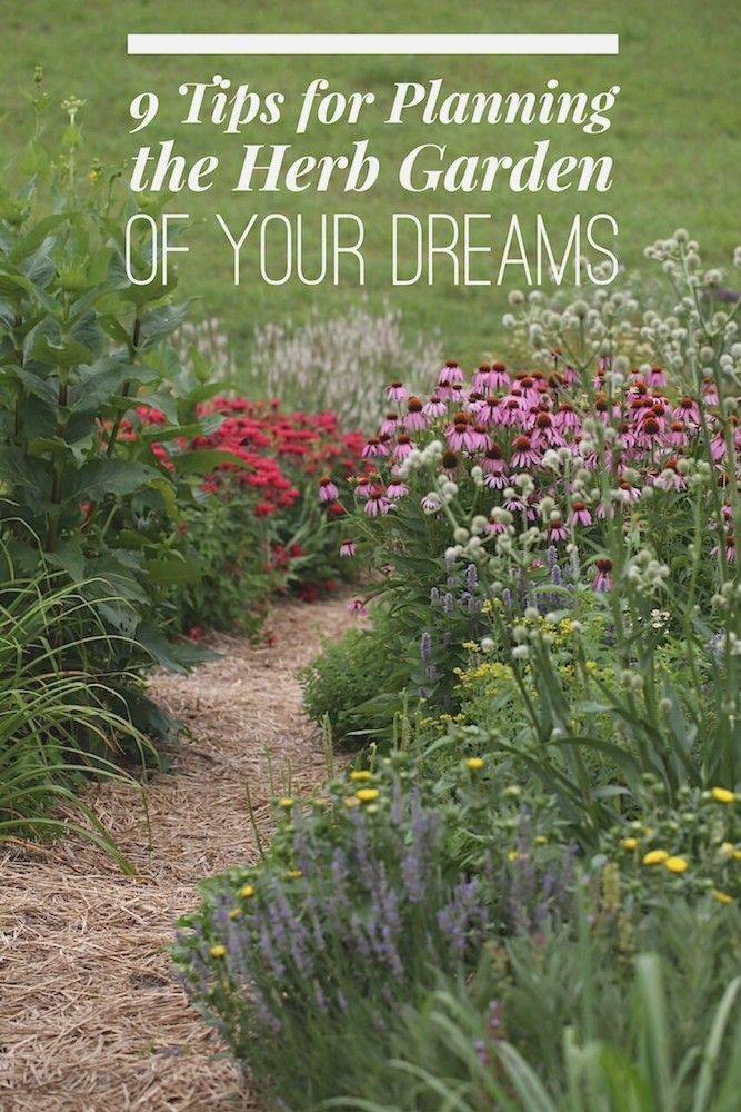 24 Medicinal Herb Garden Ideas For This Year SharonSable