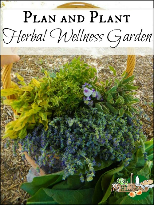 Medicinal Herbs Garden Ideas