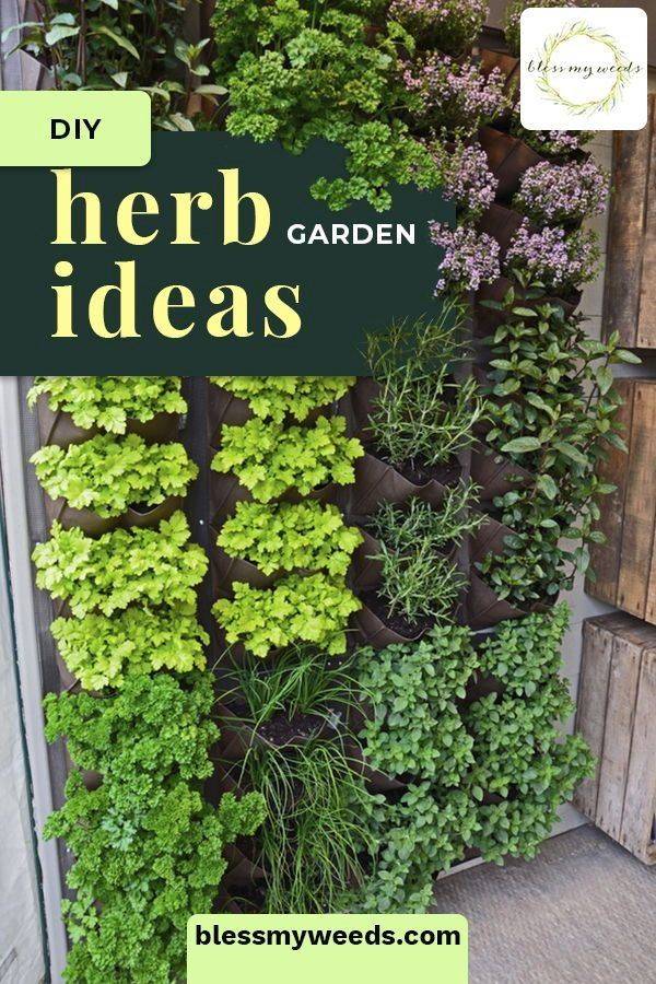 Medicinal Herb Garden Ideas