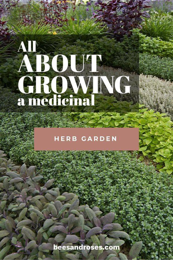 Planting A Medicinal Herb Garden In