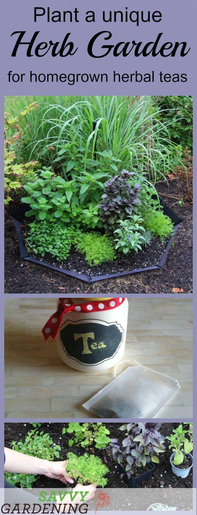 Herb Gardening Ideas Modern