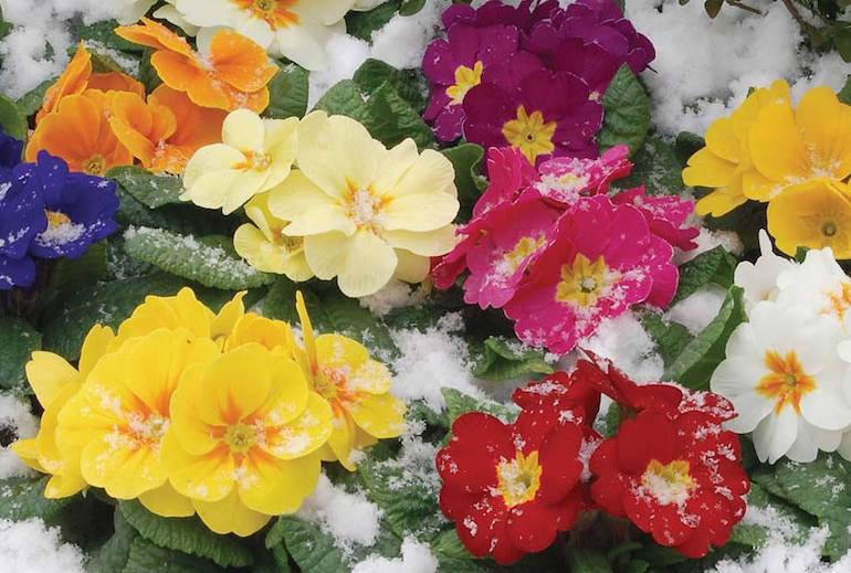 Happy Early Fall Four Backyard Improvement Ideas