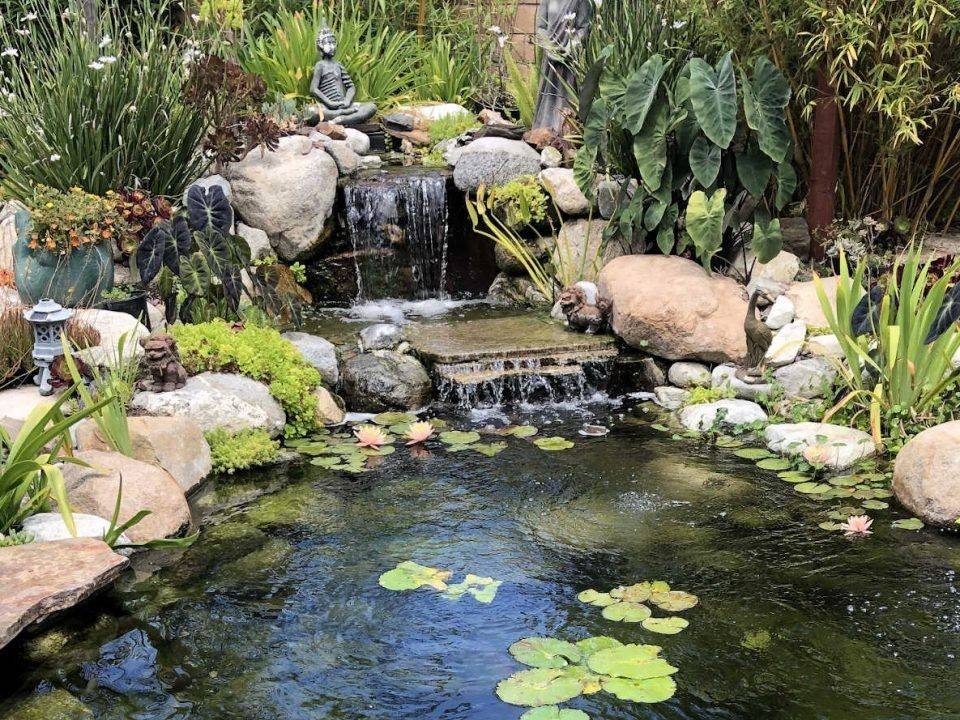 16 Plastic Garden Ponds Ideas You Gonna Love SharonSable