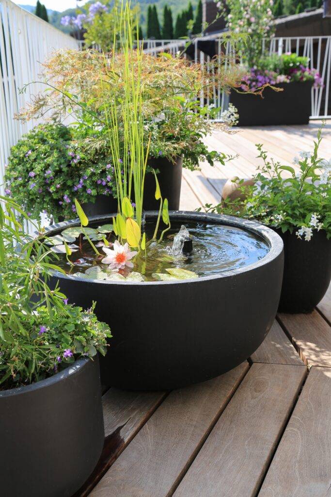 16 Plastic Garden Ponds Ideas You Gonna Love SharonSable