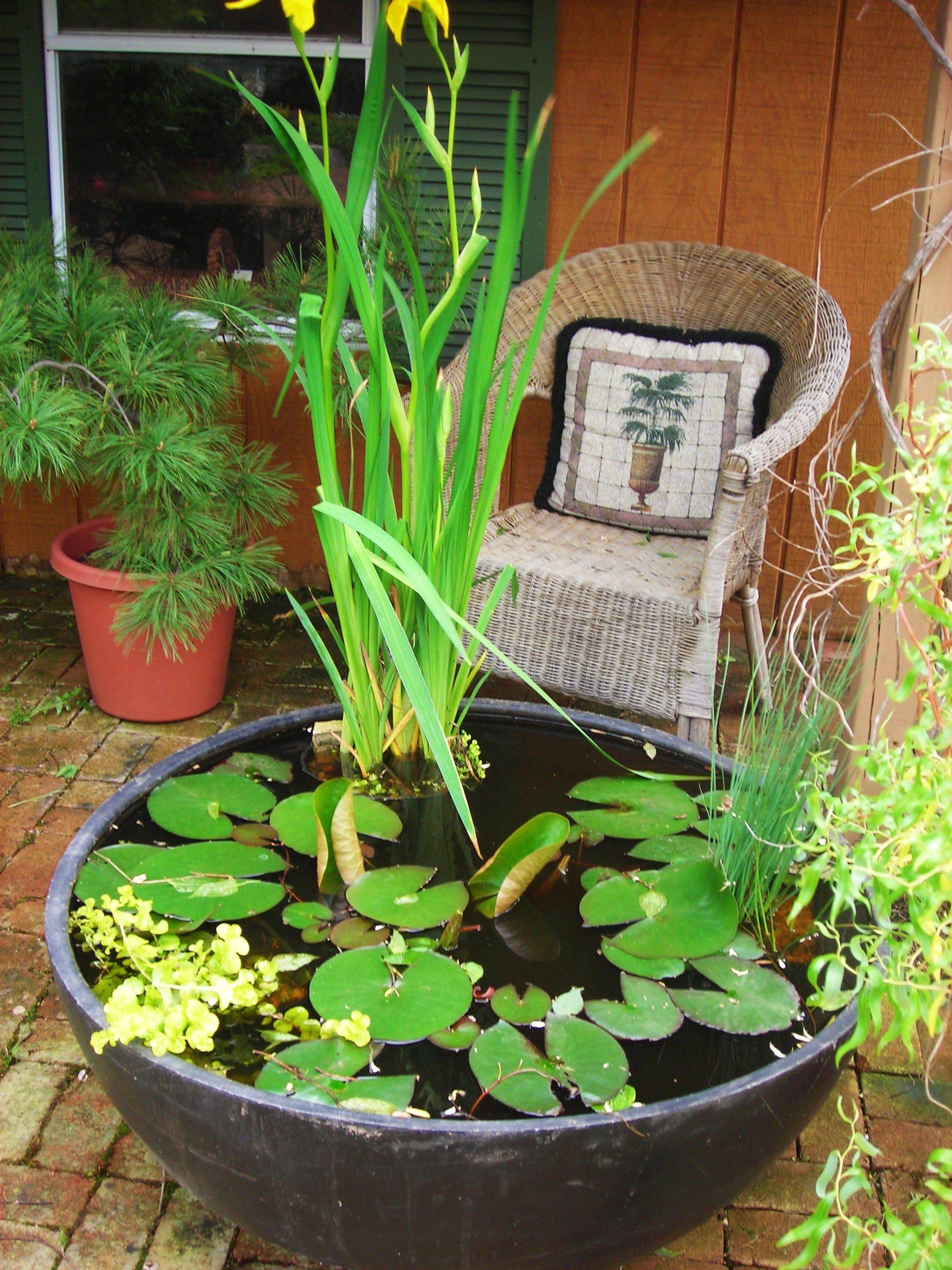 Small Preformed Pond Liner Water Features