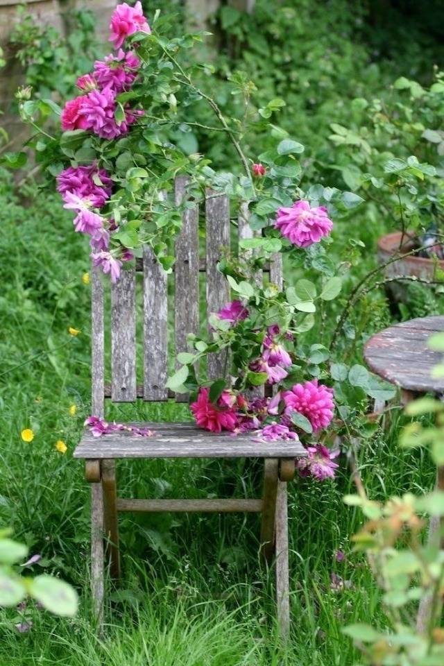 Gardenideas On Tumblr