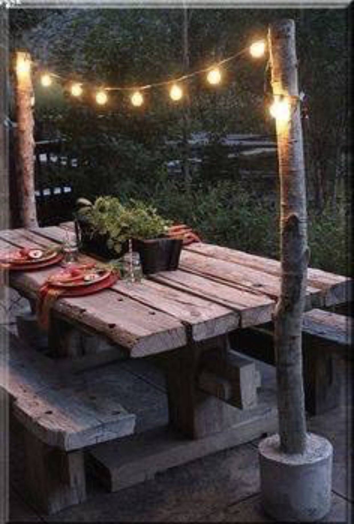 Gardening Ideas