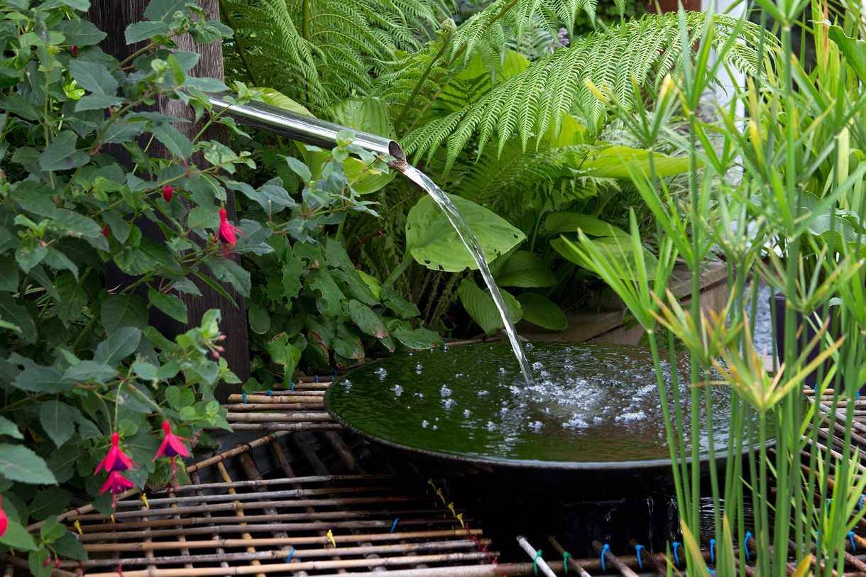Gardening Ideas