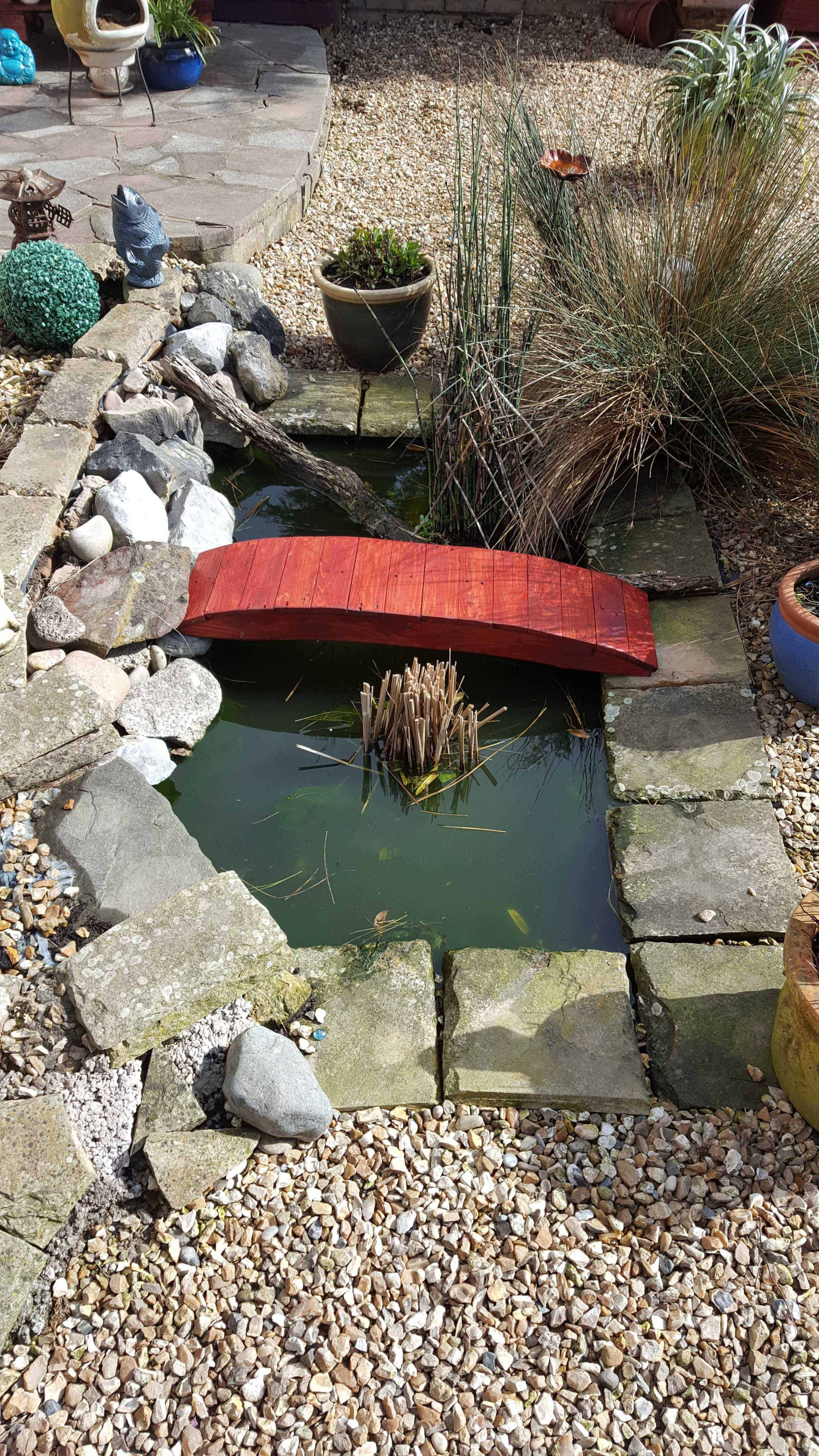 24 Garden Pond with Bridge Ideas To Consider SharonSable