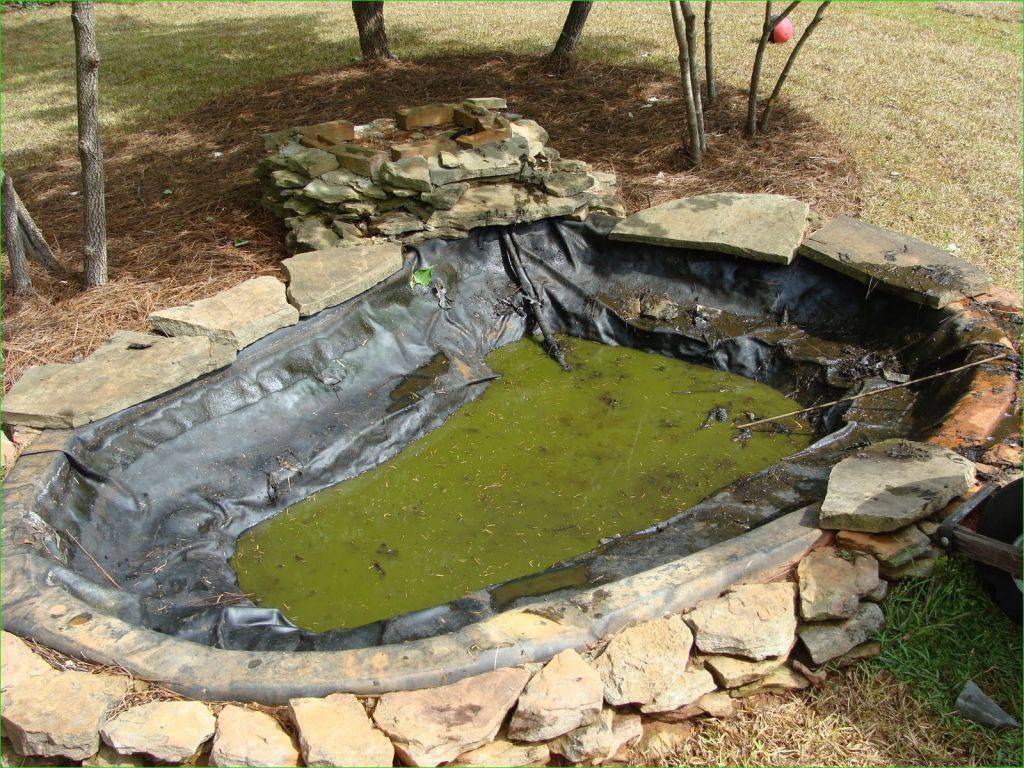 Lovely Backyard Koi Ponds Ideas Home